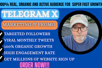 do super organic traffic twitter x promotion for website, crypto for fast growth