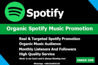 promote your music album, soundclound, spotify, youtube to 400k USA audiences