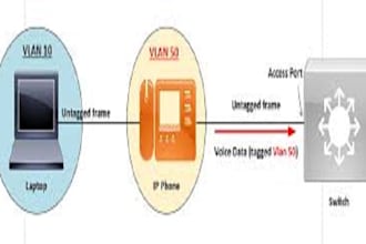 configure and fix voip, asterisk and pbx server