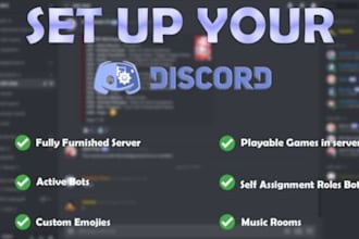 do custom discord server setup for you