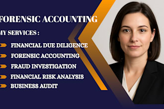 do forensic accounting, fraud checks, and due diligence