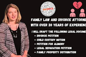do USA child custody and divorce lawyer for expert  consultation and paperwork