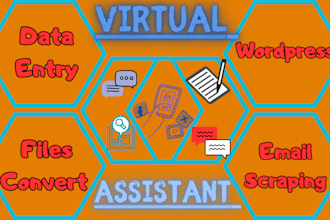 do data entry service with wordpress and ms work virtual assistance