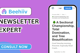 setup beehiiv account beehiiv newsletter template design beehive landing page
