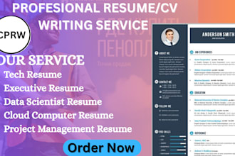 write  professional IT resume  software engineer CV writing cybersecurity soc