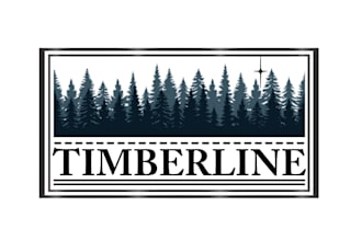 create unique logo designs bringing your vision to life