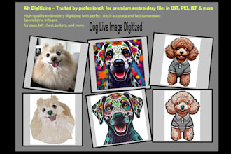 embroidery digitizing pes dst jef emb
