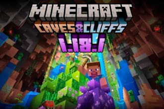 setup your minecraft java or bedrock server, plugins, mods and full optimization
