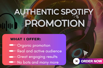 boost your spotify music with powerful and targeted ads to get heard today