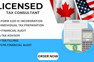 tax consultant, file us tax return, amended tax, form 1120, 1140 to irs