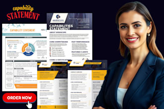create professional government capability statement, capability statement
