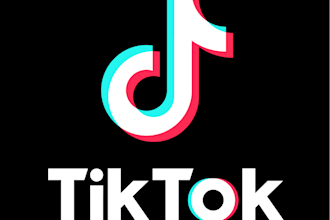 organize and schedule your tiktok posts professionally