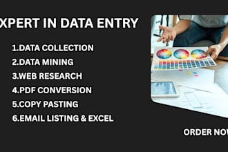 do excel data entry, web research, typing and copy paste job