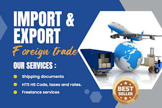 do import and export documents, customs, taxes as a freelancer