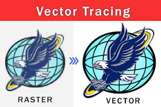 convert your raster file to high resolution vector file