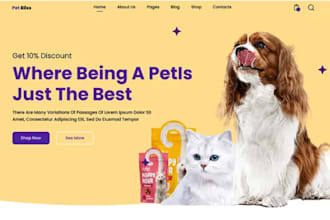 design pet accessories shopify store pet gromming website dropshipping website