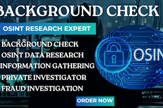 do background check osint private investigation digital forensics detective