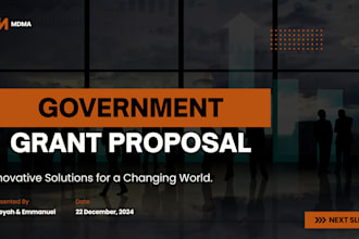 government grant proposal writing government  rfp compliance package grants