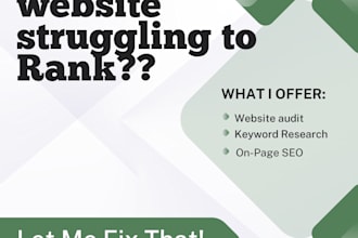 provide pro website audit consultation