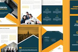 design a professional company profile, brochure, or annual report, pitch decks