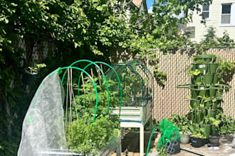 design a custom beginner garden plan for any space or container