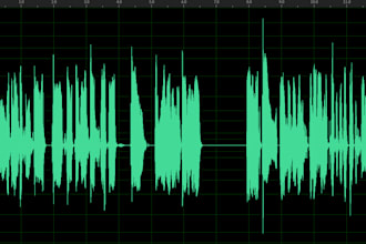 voice act and perform other various voice work