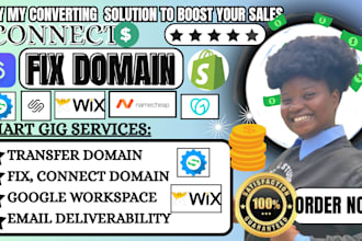 connect domain, do domain transfer, redirect domain, connect domain, fix domain