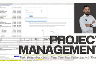 do ms project for project plans, project budgeting, etc