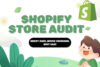 professionally audit your shopify store for conversion performance