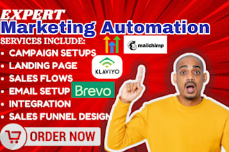 setup automation sales funnel, campaign, landing page design for your business