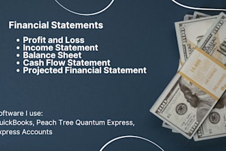 prepare financial and income statement and profit and loss