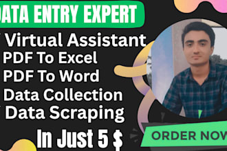 do pdf to excel, word, scanned images to excel, google docs