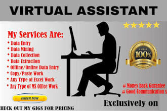 do data entry, web research, excel, admin support