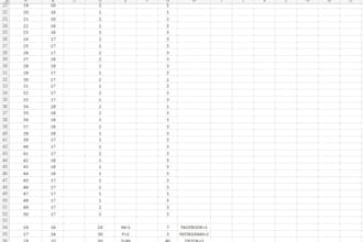 do accurate data entry, typing, and file conversion tasks