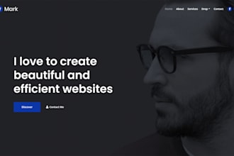 professionally create personal website or portfolio website