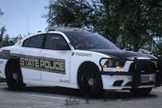 do livery, fivem livery, livery designs for police, erlc liveries, ems, car wrap