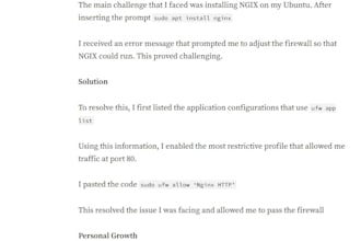 humanize ai content, check plagiarism, and provide ai reports