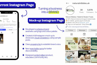 do an instagram audit and mock up page with content inspiration