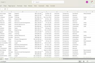clean, format, merge, split excel data