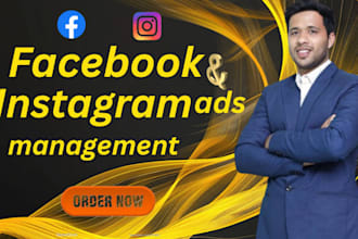 manage facebook and instagram ads via meta ads manager for lead generation