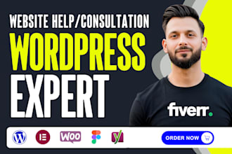 do a wordpress consultation and help through a zoom call, fix all your issues