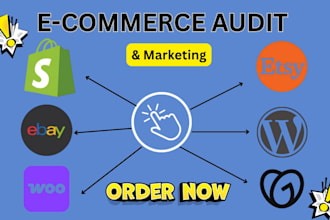audit shopify etsy woocommerce big cartel and recommend strategies to boost sale