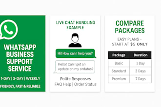 do whatsapp business chat handling and customer support