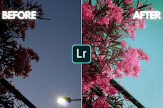 professionally color grade your photos using lightroom