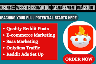 do reddit post management for ai website app onlyfans page crypto blog promotion