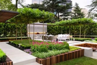 create 3d backyard landscape design with garden swimming pool patio pergola