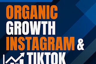 audit your tiktok or instagram and help you grow smarter
