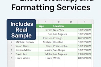 accurate data entry, excel cleanup, formatting PDF to excel services