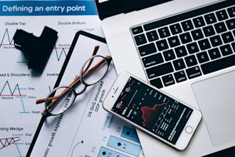 do accounting, finance, management, financial analysis, reports, excel project