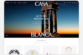 set up your shopify store, design or redesign your website